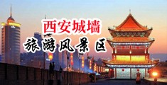 vBBvBB欧美性爱操屄视频中国陕西-西安城墙旅游风景区