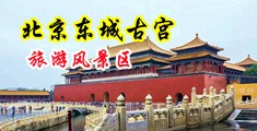 女生的逼被男生操红的视频中国北京-东城古宫旅游风景区
